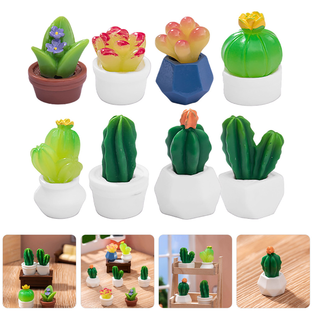 Bonsai Garden For Desk - 8 stuks miniatuur cactus bonsai planten