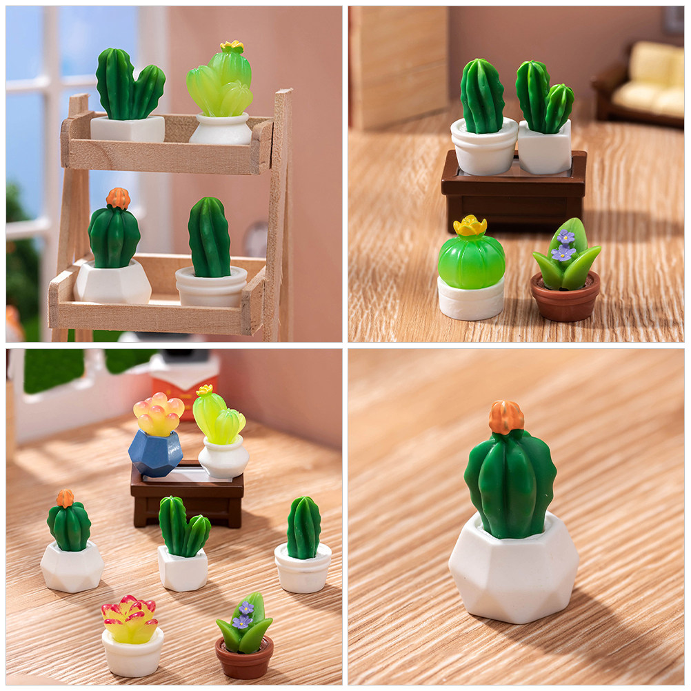 8 stuks miniatuur cactus bonsa - Bonsai Garden For Desk recensie en prijs