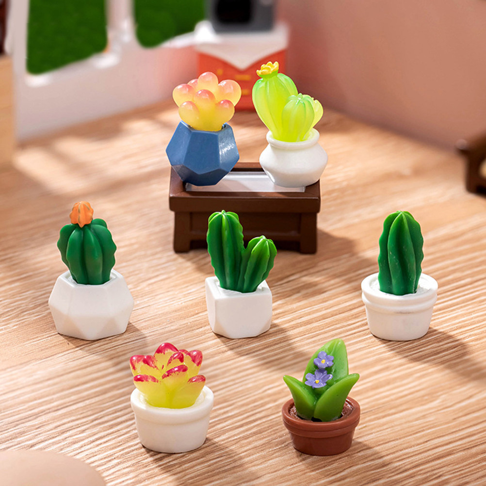 8 stuks miniatuur cactus bonsa - Bonsai Garden For Desk recensie en prijs