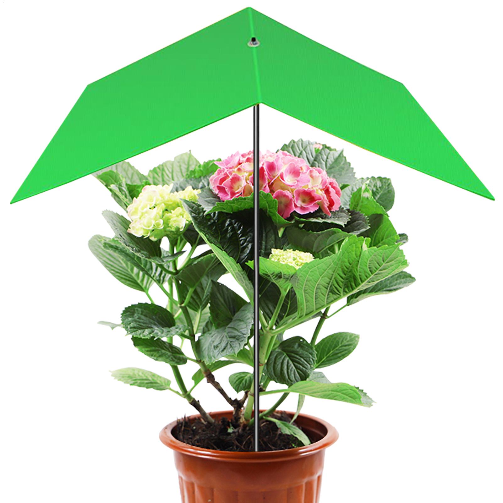 Parasol voor potplanten Anti-U - Bonsai Garden Backyard recensie en prijs