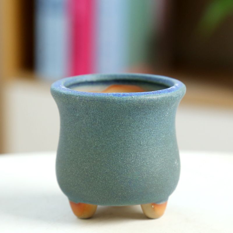 Mini vlezige bloempot keramiek - Training Pot Ceramic recensie en prijs
