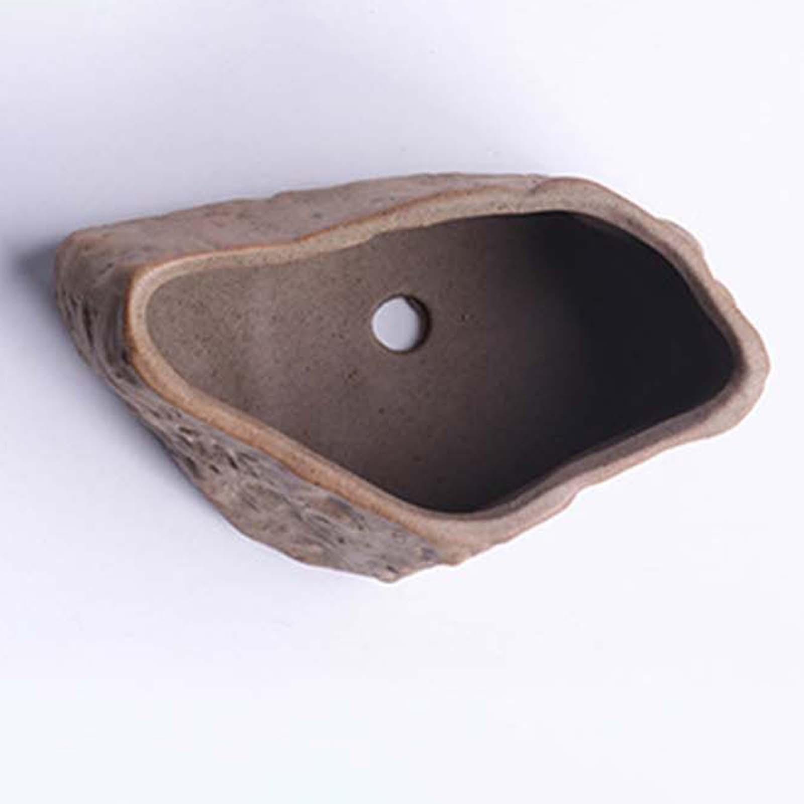 Keramische succulentenpot, lic - Training Pot Ceramic recensie en prijs
