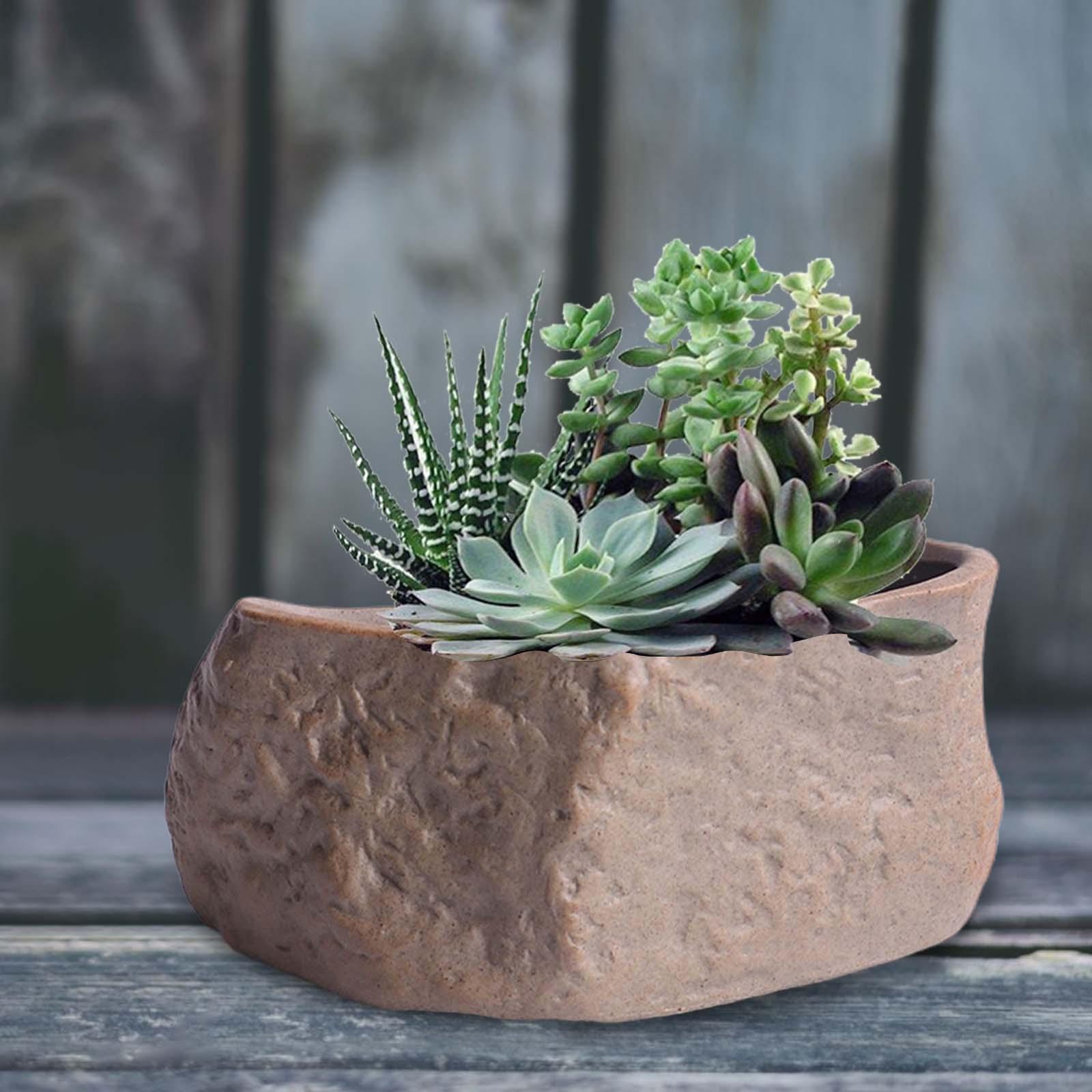 Keramische succulentenpot Lich - Training Pot Ceramic recensie en prijs