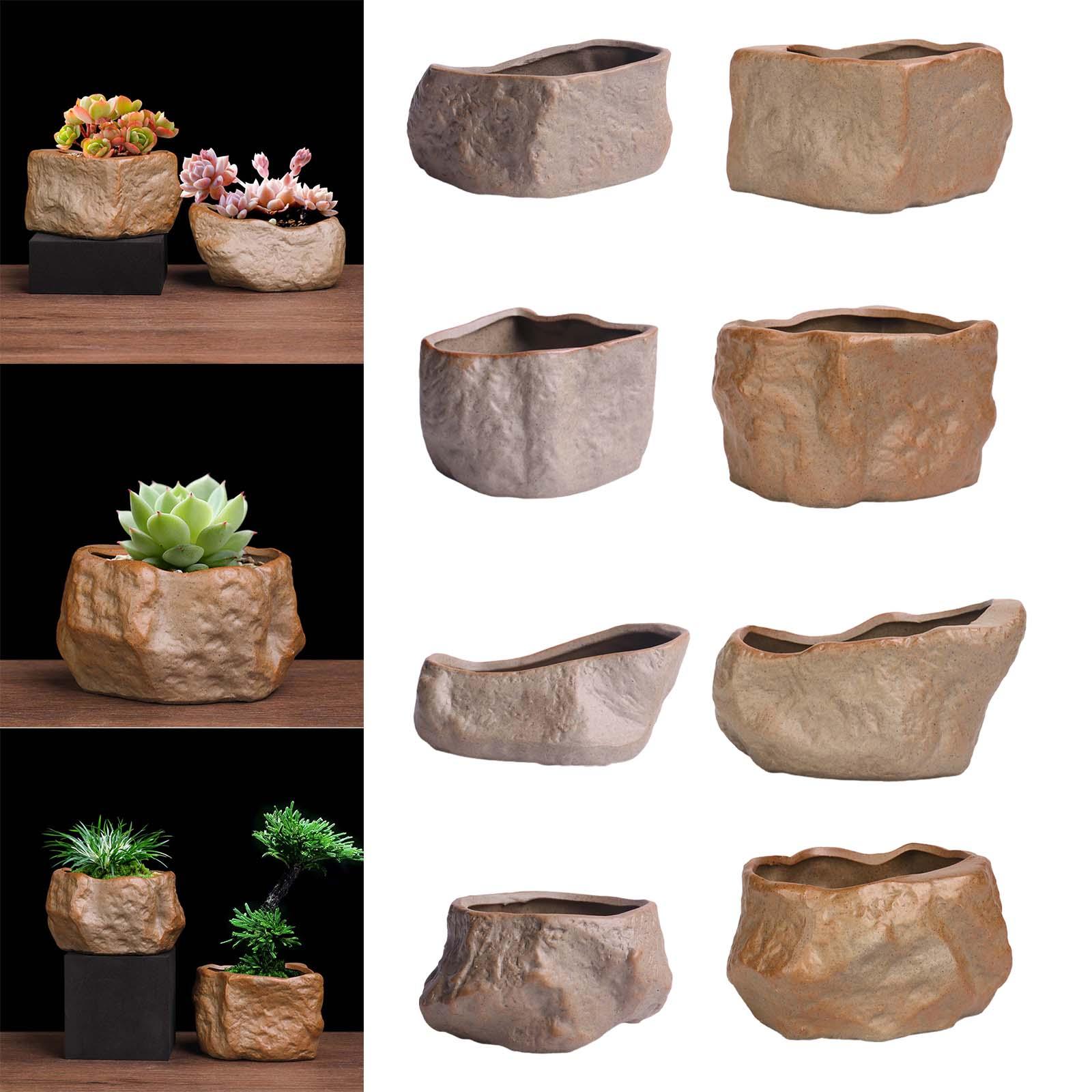 Keramische succulentenpot Lich - Training Pot Ceramic recensie en prijs