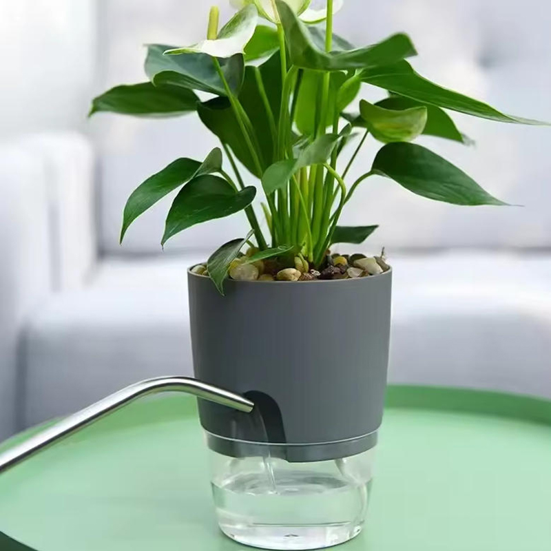 Zelfwatergevende potten voor p - Sphagnum Moss Bag recensie en prijs
