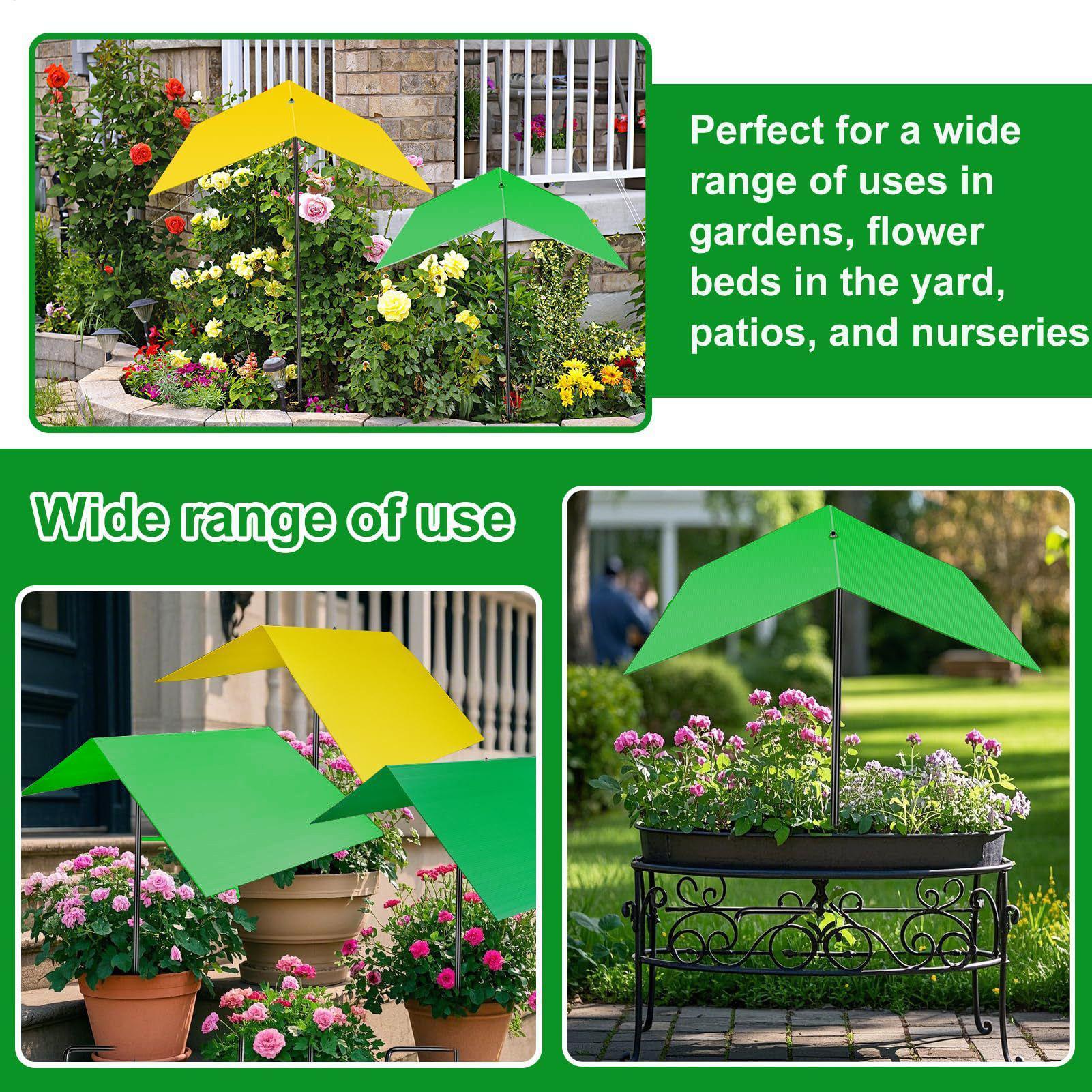 Parasols voor buitenplanten An - Bonsai Garden Backyard recensie en prijs