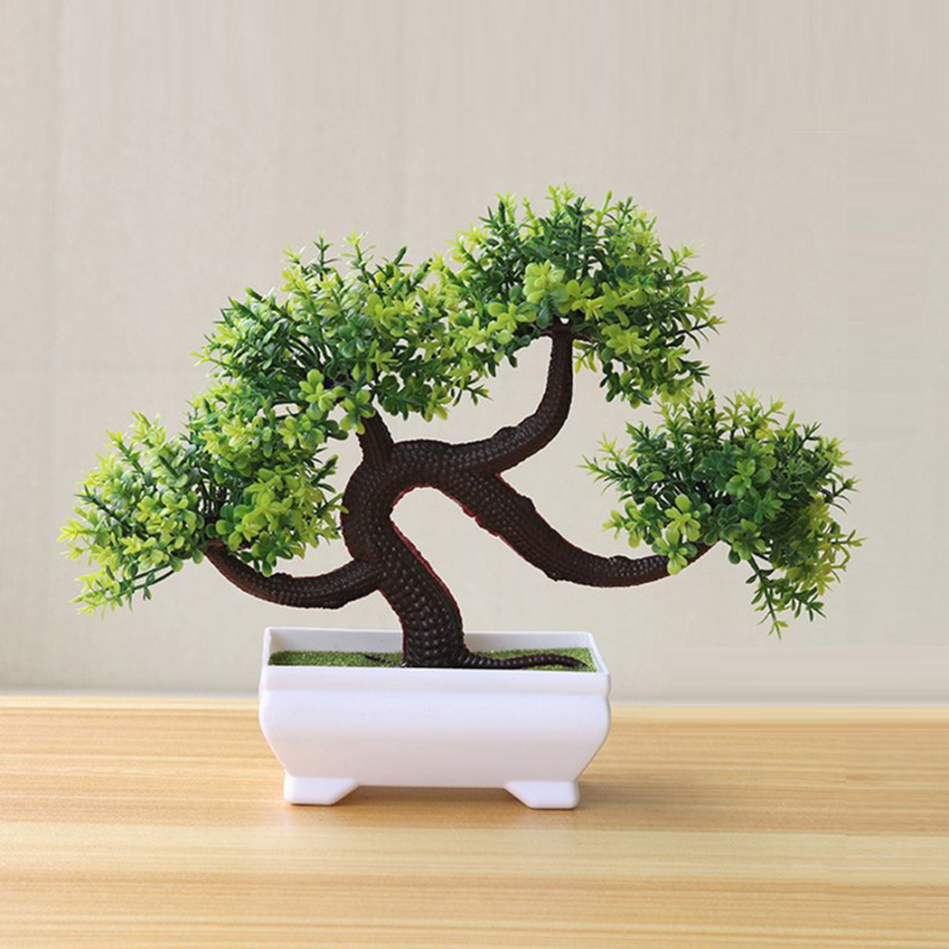 Decoratieve Bonsaiplant in pot - Bonsai Garden Backyard recensie en prijs