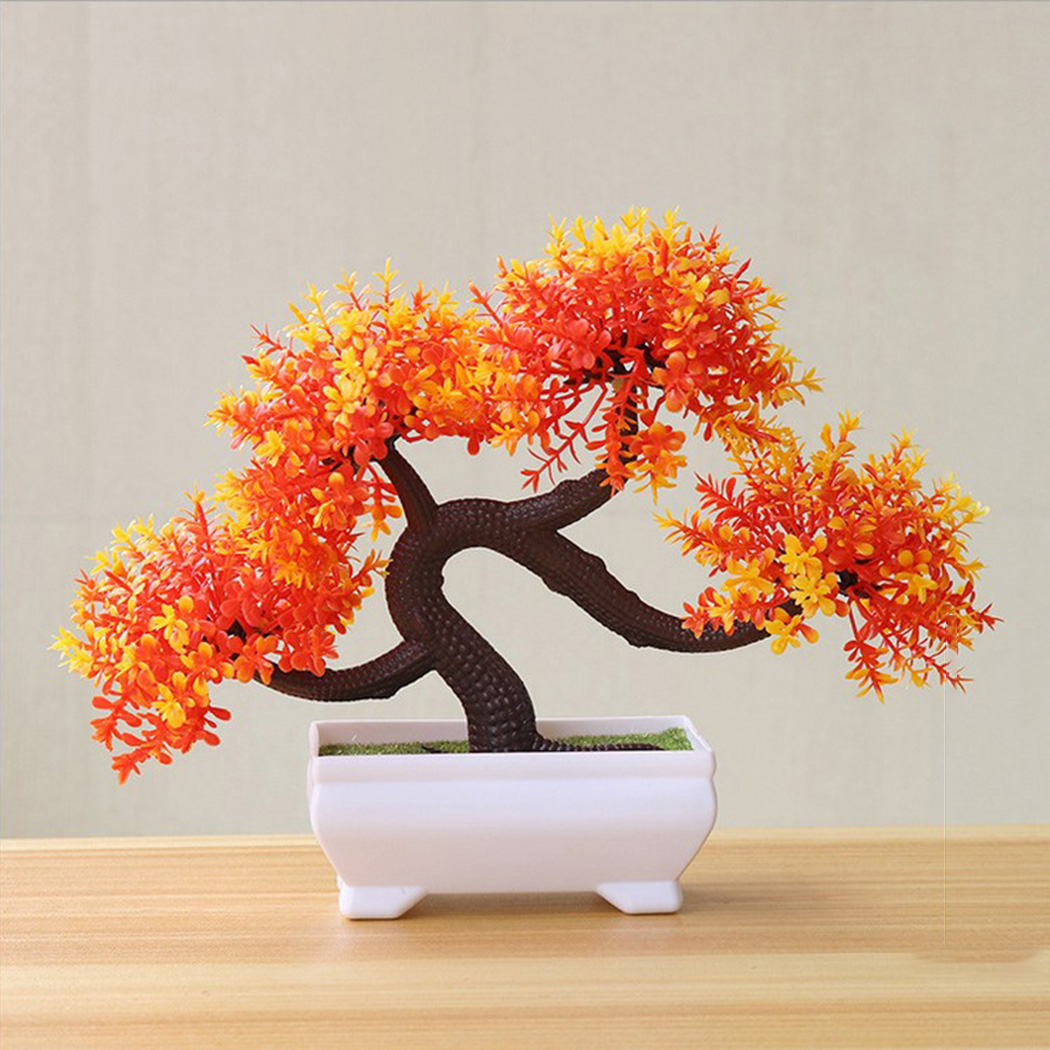 Decoratieve Bonsaiplant in pot - Bonsai Garden Backyard recensie en prijs
