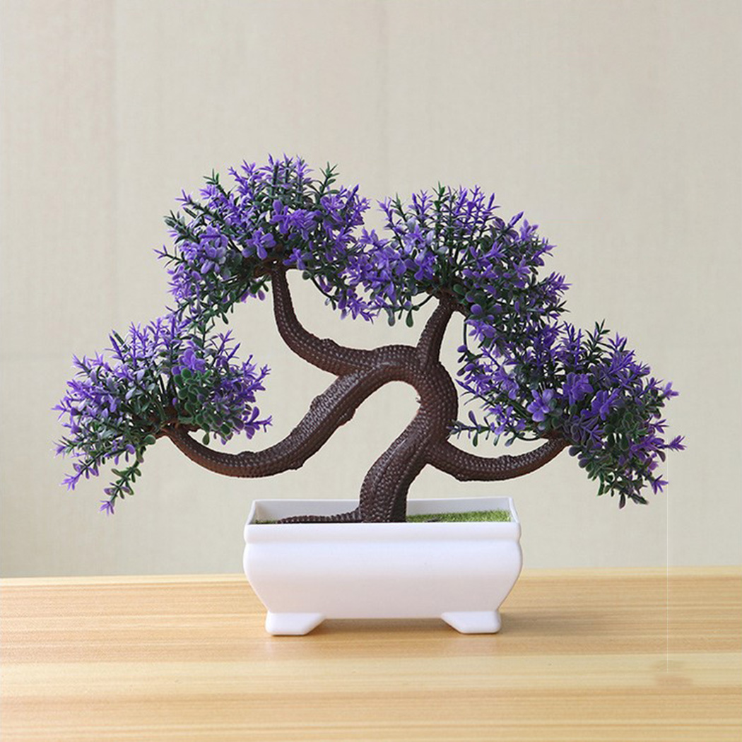Decoratieve Bonsaiplant in pot - Bonsai Garden Backyard recensie en prijs