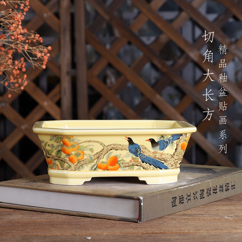 Porseleinen rechthoekige bonsa - Bonsai Garden For Desk recensie en prijs