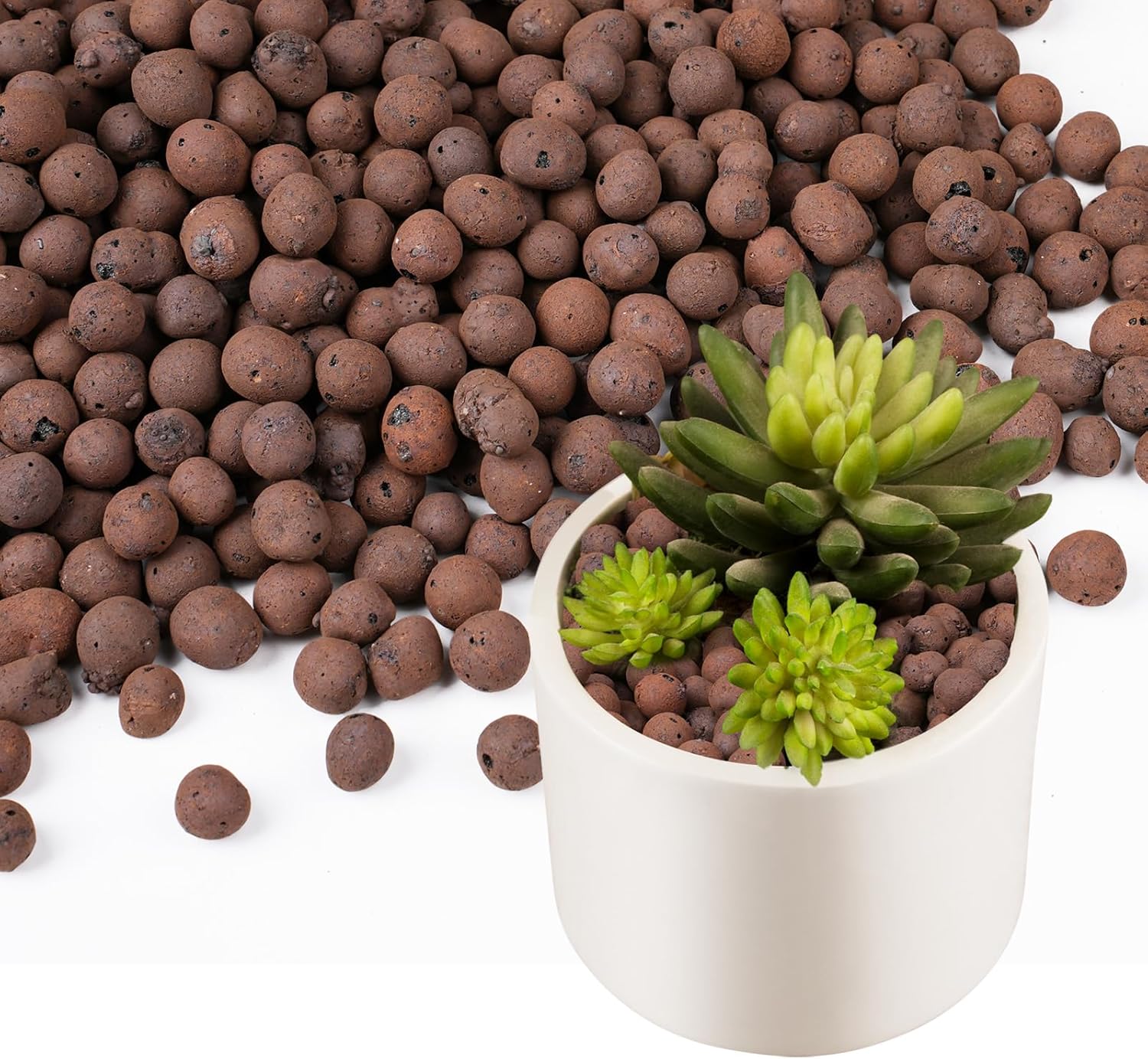 100/200G Kleikiezels voor plan - Sphagnum Moss Bag recensie en prijs
