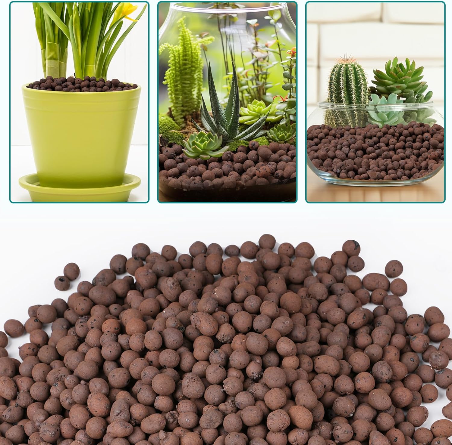 100/200G Kleikiezels voor plan - Sphagnum Moss Bag recensie en prijs