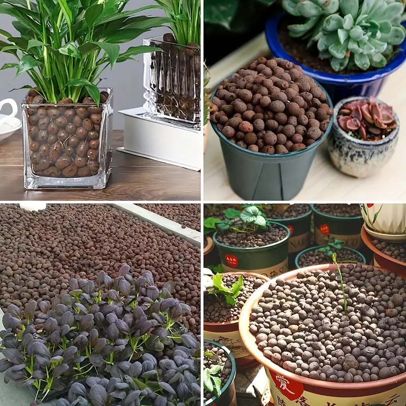 100/200G Kleikiezels voor plan - Sphagnum Moss Bag recensie en prijs