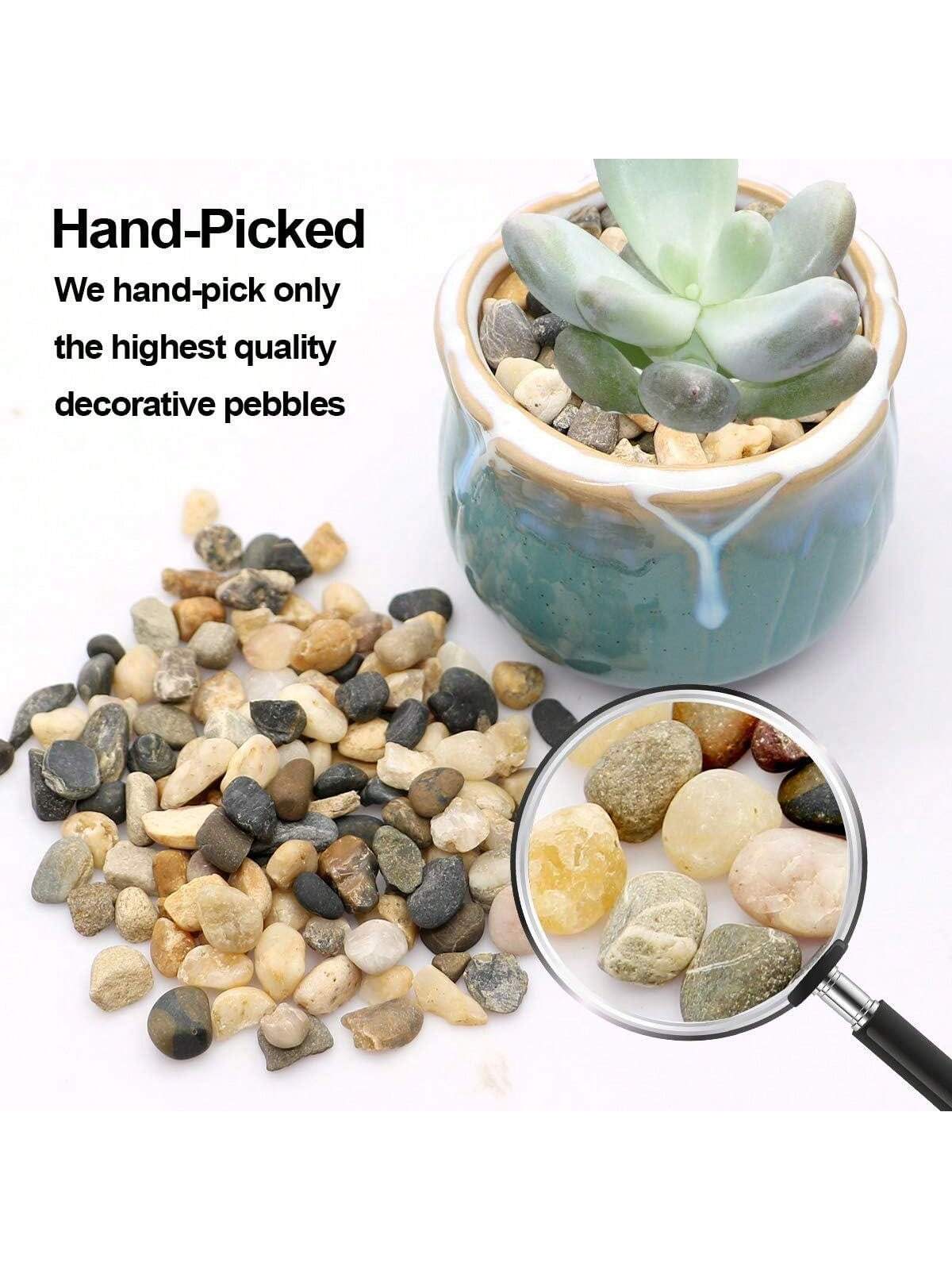 River Rocks Stones Natuurlijke - Sphagnum Moss Bag recensie en prijs