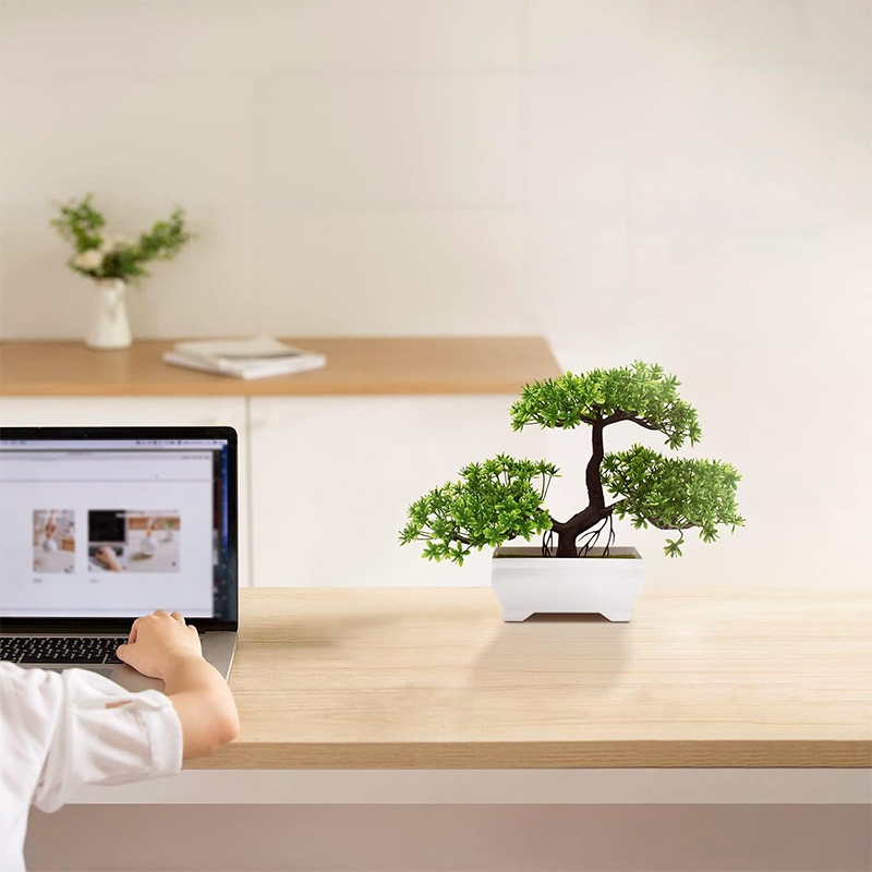 Kunstmatige Bonsai Plastic Bio - Bonsai Garden For Desk recensie en prijs