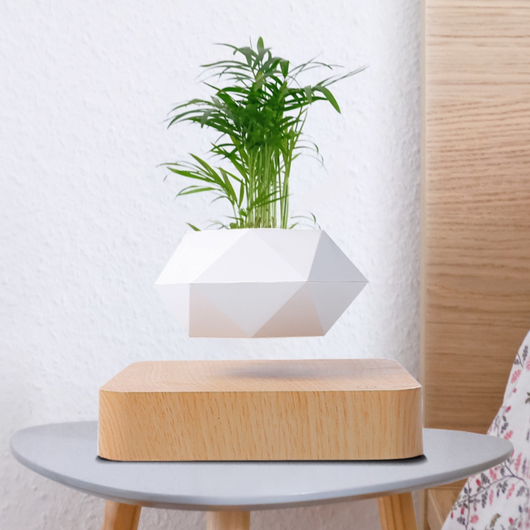 Luchtboeiende bonsaipot, draai - Bonsai Garden For Desk recensie en prijs