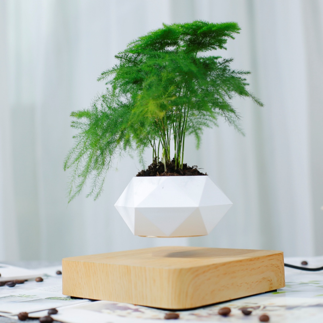 Luchtboeiende bonsaipot, draai - Bonsai Garden For Desk recensie en prijs