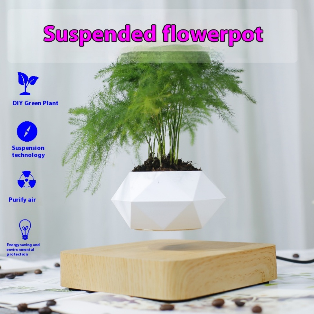Luchtboeiende bonsaipot, draai - Bonsai Garden For Desk recensie en prijs