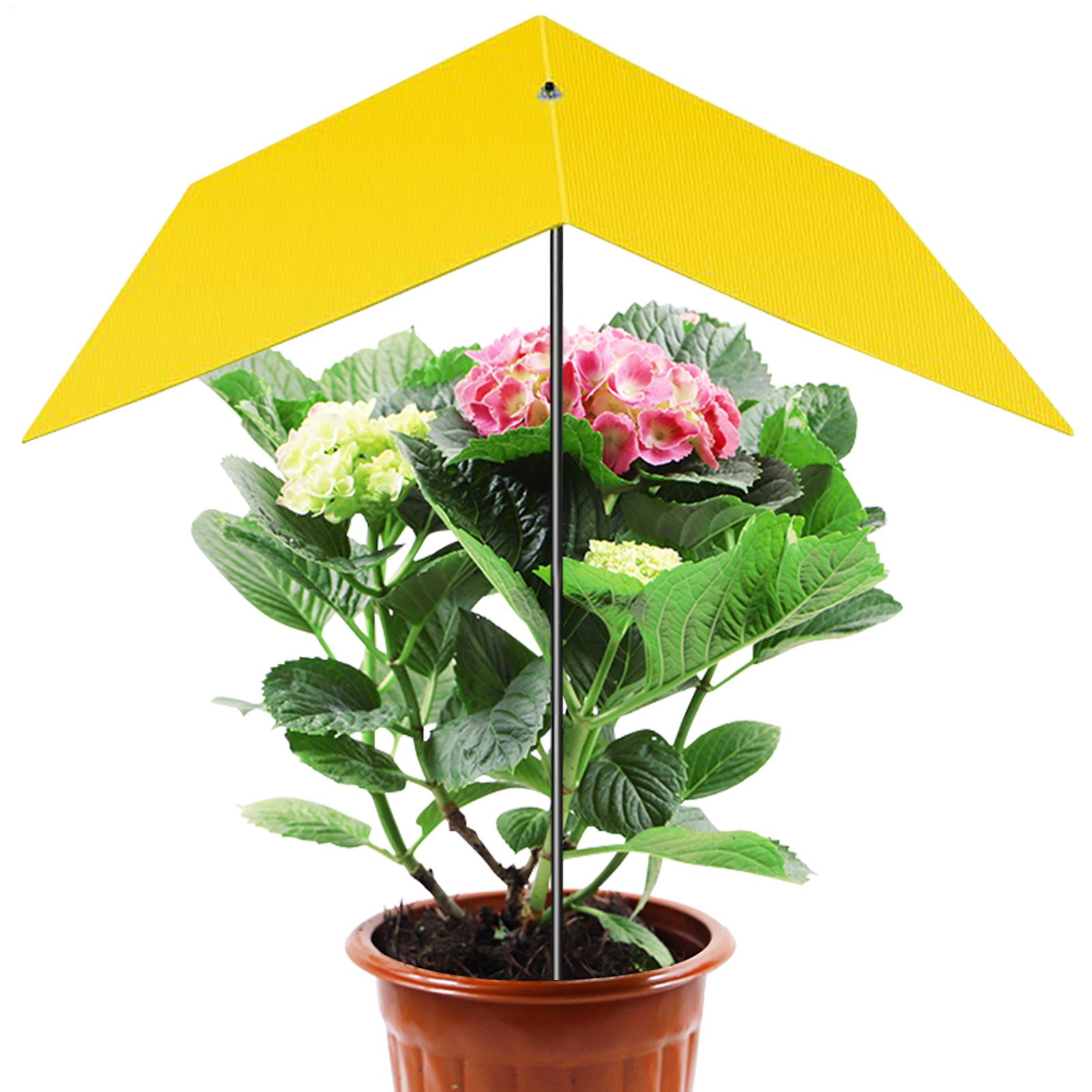 Paraplu's voor buitenplanten U - Bonsai Garden Backyard recensie en prijs