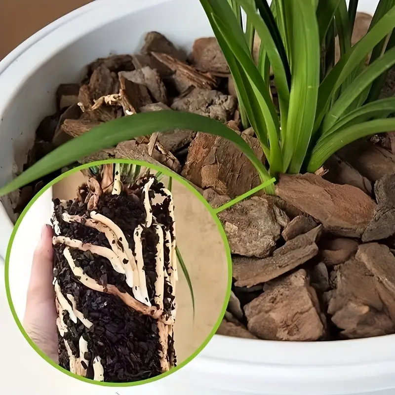Pijnboomhuid voor orchideeën,  - Sphagnum Moss Bag recensie en prijs