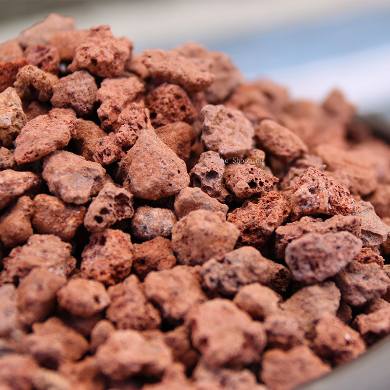 500G/1000G Rood Vulkanisch Ges - Sphagnum Moss Bag recensie en prijs